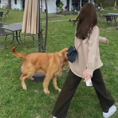 敌人
